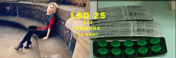 ПСИЛОЦИБИНОВЫЕ ГРИБЫ Липки