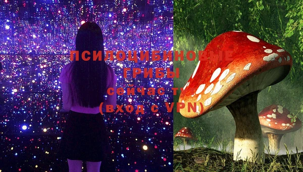 экстази Ладушкин