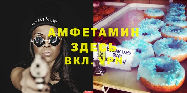 ПСИЛОЦИБИНОВЫЕ ГРИБЫ Липки
