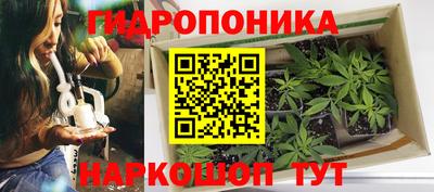 прущие грибы Беслан