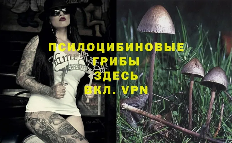 Галлюциногенные грибы Magic Shrooms  цена   Североморск 