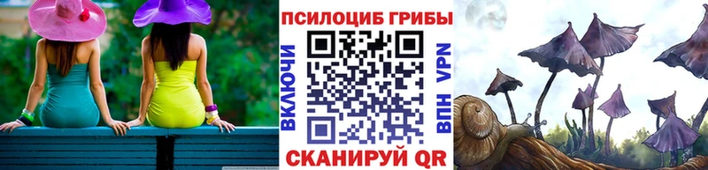 купить закладку Североморск Галлюциногенные грибы MAGIC MUSHROOMS