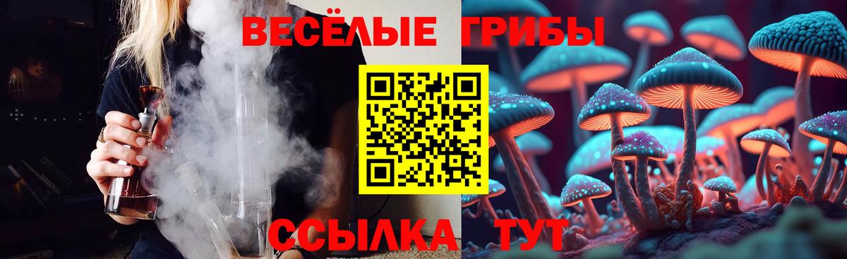 Псилоцибиновые грибы GOLDEN TEACHER Североморск